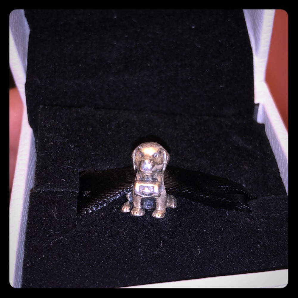 100% authentic pandora dog charm